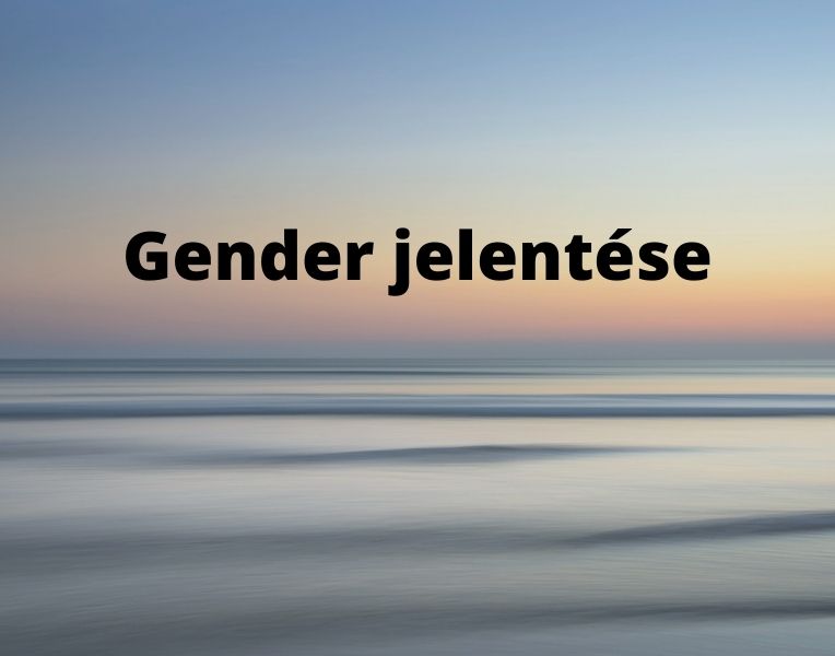 Gender jelentése