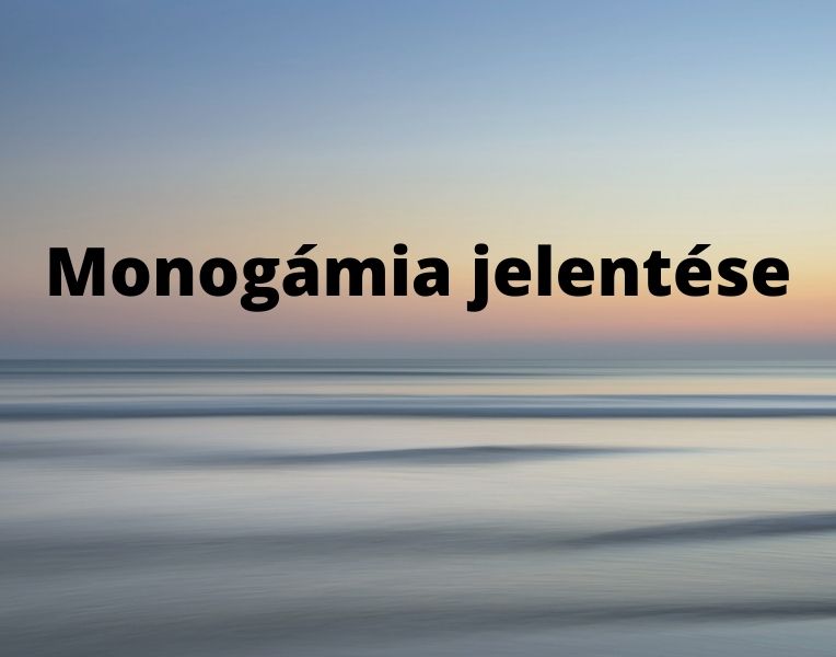 Monogámia jelentése